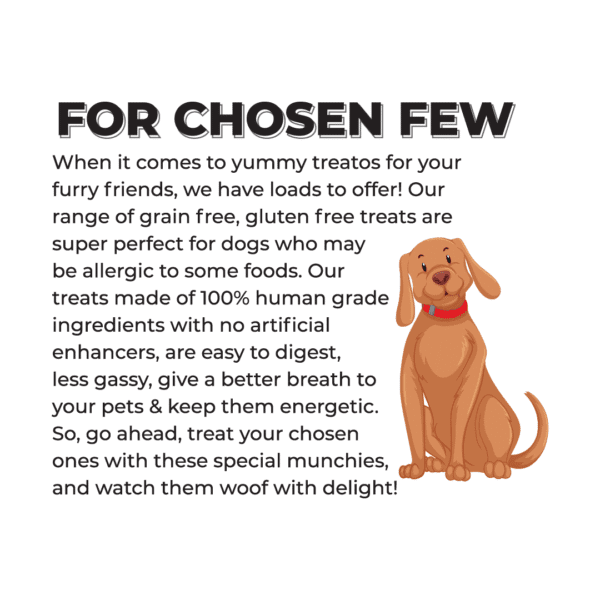 Butter Chicos Gluten Free Dog Treats - Image 3